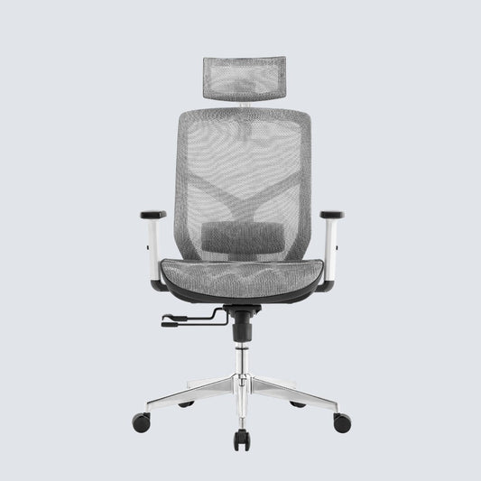 Cradle Comfort Ergonomic Office Chair